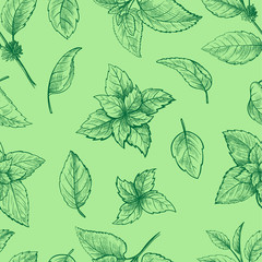 Mint hand sketch vector illustration seamless texture. Peppermint engraved drawing of menthol leaves isolated on white background. Leaf herbal spearmint plant