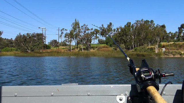 Getting a Bite on the Trolling Rod