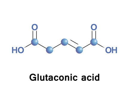 Glutaconic acid is an organic compound. This dicarboxylic acid exists as a colorless solid and is related to the saturated chemical glutaric acid. Esters and salts of it are called glutaconates.