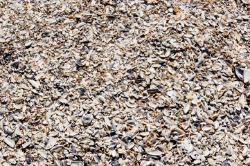 Sand beach, sea in summer