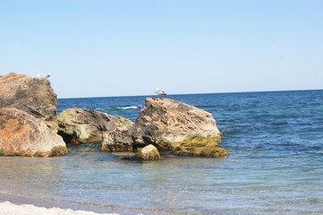 Fototapeta na wymiar Beach stones on the seashore, seagulls