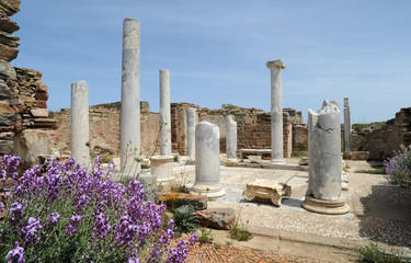 La Maison du Lac du site archéologique de Délos en Grèce