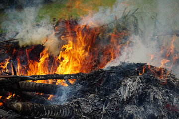 Fire burning garbage