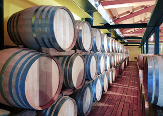 Casks in wine cellar