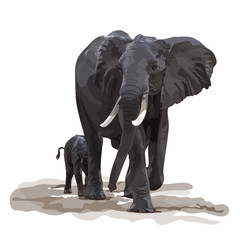 &eacute;l&eacute;phant