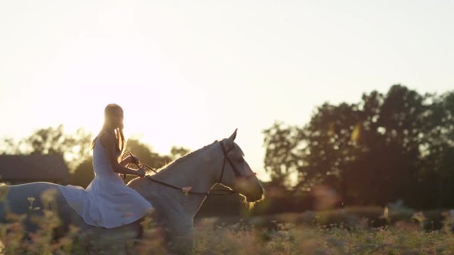 AERIAL SLOW MOTION CLOSE UP Silhouette of a young horsegirl in white dress bareback riding stunning horse through flowering field. Gorgeous woman with long hair horseback riding mare at golden sunrise