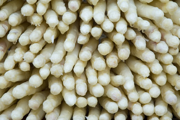 frischer Spargel