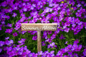 Sommeraktion