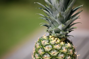 Fototapeta premium pineapple