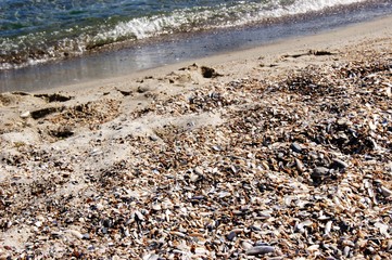 beach, sand, summer, sea, background, ocean, tropical, wave, water, blue, beautiful, nature, coast, island, travel, vacation, white, outdoor, shore, beauty, sky, sun, hot, day, landscape, natural, sun