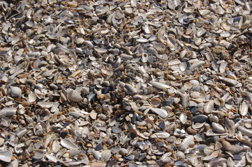  Sand on the beach, waves with white foam