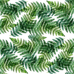 Tropical watercolor abstract pattern with fern leaves