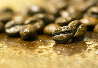 Fresh coffee beans closeup