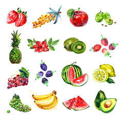 Watercolor illustration of a painting technique. Fresh organic food. Set of different fruits and berries.