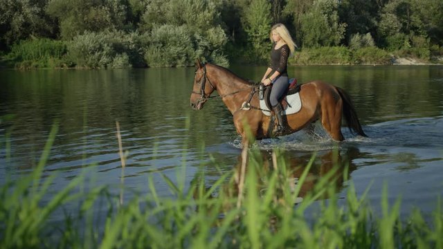 SLOW MOTION, CLOSE UP, DOF: Cheerful woman horseback riding beautiful brown horse against water flow splashing waterdrops around. Caucasian girl on summer vacation riding stunning gelding in the river