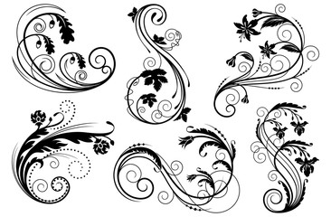 Floral swirls design elements. Vector illustration.
