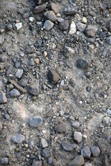 steiniger und sandiger Boden am Bodensee