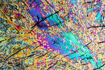 microscopic Xylose crystals