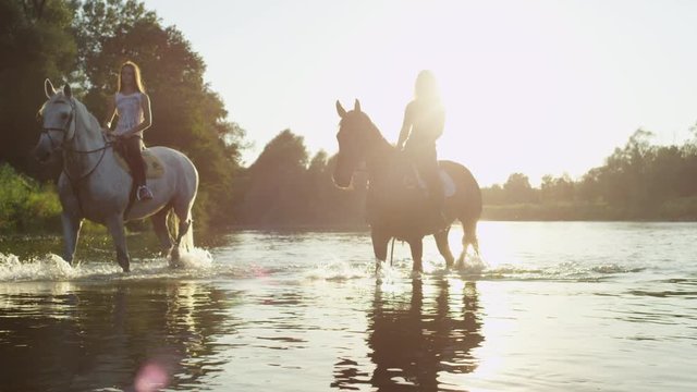 SLOW MOTION, CLOSE UP: Silhouette of two girls riding grey and brown horse in shallow water along the lush overgrown riverbank in golden light. Horses splashing waterdrops when walking in the river