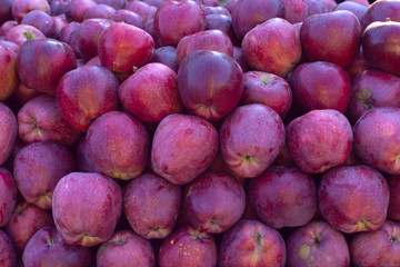 A big pile of Sweet and tasty crunchy red pink apples - autumn background