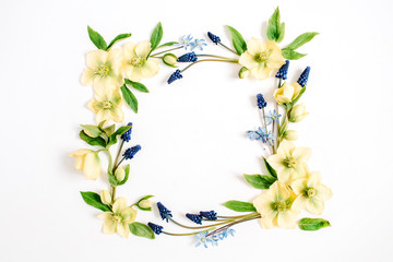 Frame wreath made of hellebore flower, muscari flower and leaf on white background. Flat lay, top view. Blog, social media or website background.