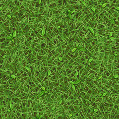 Бесшовная текстура летней зеленой травы с мелкими листочками, вид сверху
