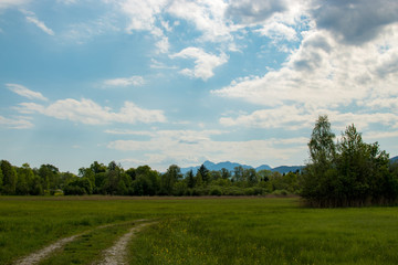 Murnauer Moos mit Blick auf die Alpen