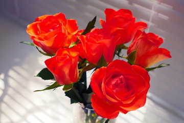 Bouquet of red roses in glass vase on windowsill background. Vase with red roses in a bright window. 