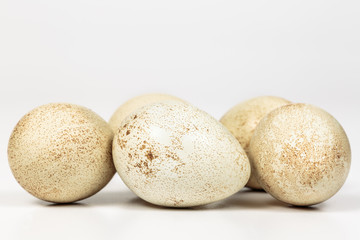 Fototapeta na wymiar Partridge eggs on white, with blank space at top