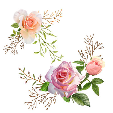 illustration of animal and flower on white background