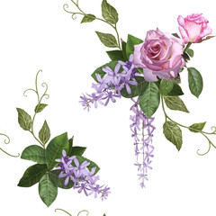 illustration of beautiful flower  on  white background