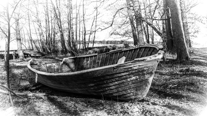 Decaying boat in forest © tommitt
