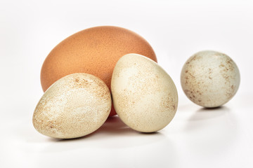 Different eggs on white. Partridge eggs beside a bigger and darker chicken egg