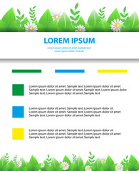 Eco brochure, flyer. Banner daisy flowers and leaf. Greeting spring and summer posters. Vector