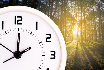 Close up white clock with forest background