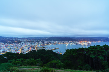 Beautiful scenery from Mount Victoria lookout at dusk in Wellington , capital of New Zealand , North Island of New Zealand © PK4289