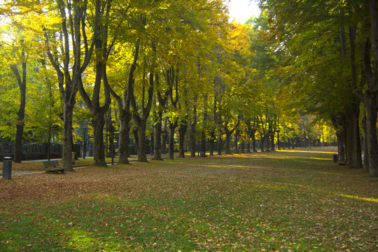 Autumn of Pyrenees, Camprodon, Girona province, Spain