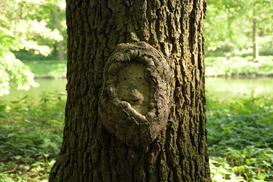 naturerscheinung