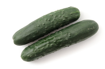 Landgurken
