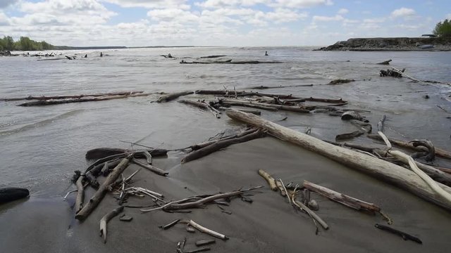The river bank, waves of dirty melt water splash about snags