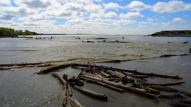 The river bank, waves of dirty melt water splash about snags
