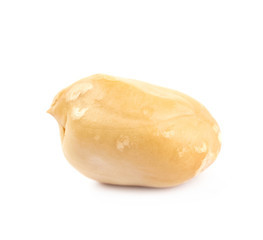 Peeled peanut isolated