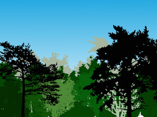 dark green pines in forest illustration