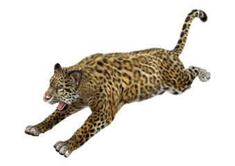 3D Rendering Big Cat Jaguar on White