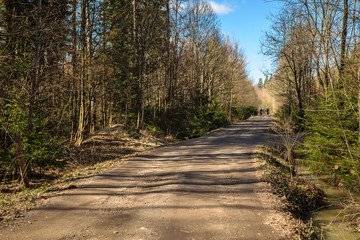 Fototapeta na wymiar Road in Moscow Region, Russia
