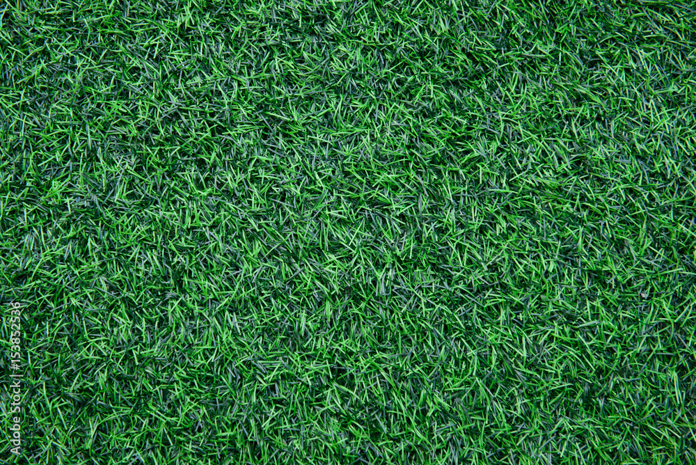 Wall mural artificial grass field