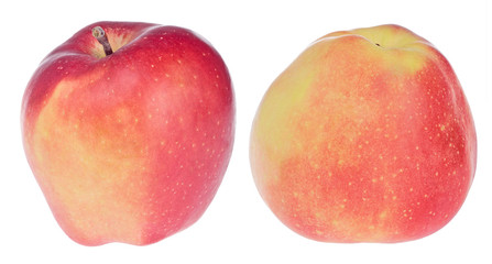 Gloucester apples isolated on white