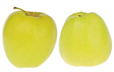 Golden apples isolated on white