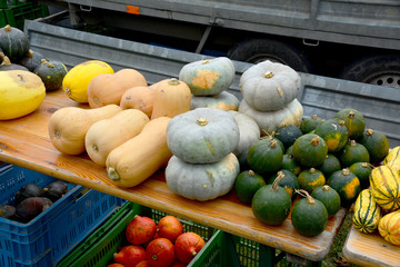 Kürbisse am Marktstand