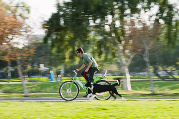 Border Collie Running with Cycling Owner